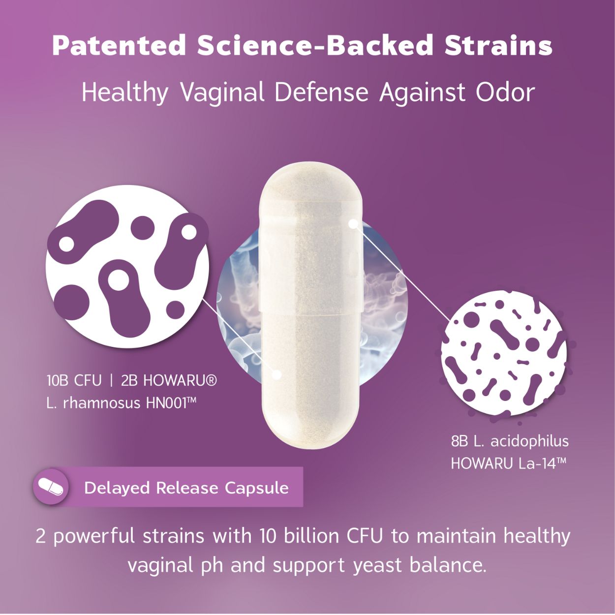 Vaginal Microbiota Probiotic