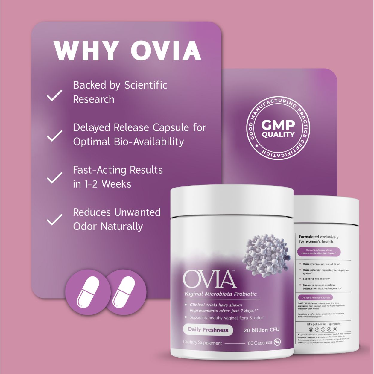 Vaginal Microbiota Probiotic